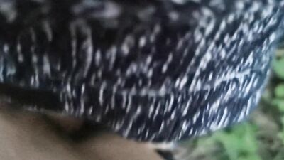 Twink gets a blowjob outdoors