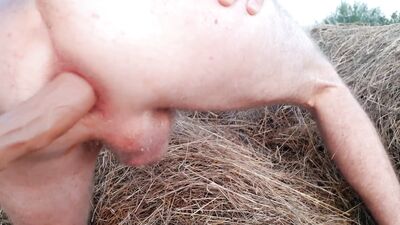 In a haystack, mate guy fucks his tight hole with a big dildo