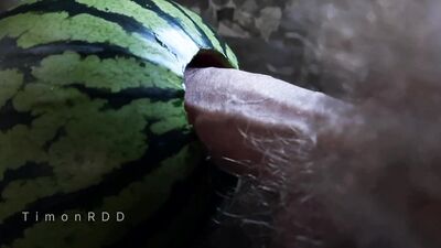 The guy fucks watermelon hard with a big hairy dick