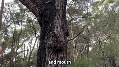 Ep 272. Bro's Sensual Touch