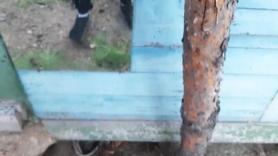 The guy pisses powerfully and then jerks off a cock at an abandoned recreat