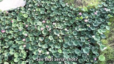 Ep 277. Frot Buddy Humps My Leg and cums handsfree ????