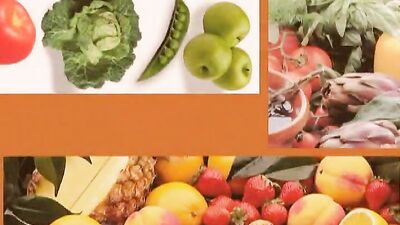 Vintage Vixens: A Gay Porn Classic from the 1990s