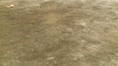 Trucker Fever: Raw and Rugged Men in the Garage