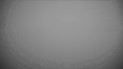 Legislative Eruptions: Taking the Stress Out of Politics with Costard Beau Gosse