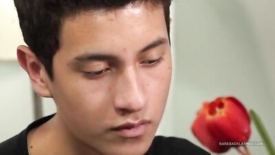 Young Gay Twinks Try Out Sex Toys During a Romantic Night In