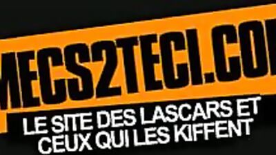 French Algerian Stallion from the 93: Karims Rough and Ready BG Action