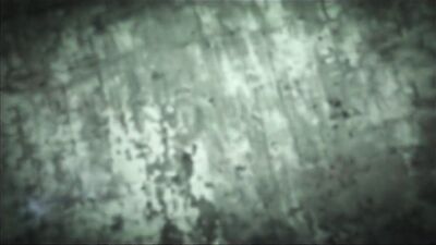 Beefy Straight Dudes Go Wild After Smoking A Joint - Muscle Buddies Suck And Squeeze Each Other in the Backyard