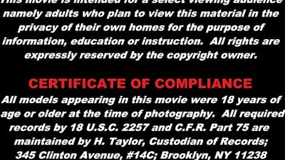 Black Ties and Bowties: The Ultimate Gay Porn Experience