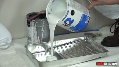 The Painters Hard Hitting Performance with the Tenant: A Handymans Dream Come True!