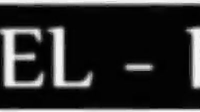 Arabian Stallion Breeds a Young Israeli Stallion through Brutal Force