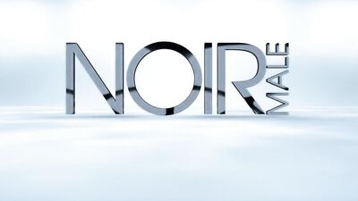 Gay Porn: Black Male Roommate Fuck - The Last NoirMale Video