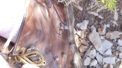 Cruising on the Beach - Double Ejaculation: Amateur Male Exhibitionist Masturbates and Cums Twice