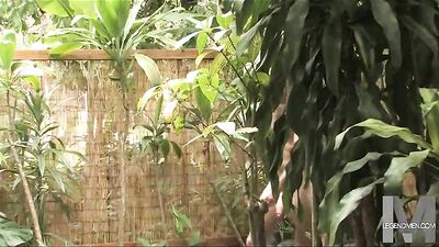 Zacks Huge Arabian Stallion Dick