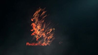 Doctors Bondage Medical Exam: A Gay Porn Video