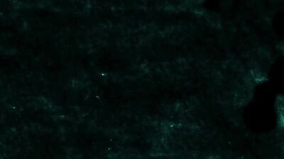 Mecs soumis très chiennes