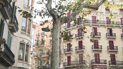 Hot Trio of Handsome Men: Group Orgy!