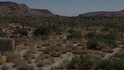 Skyy Knoxs Dream Come True: Arab Bodybuilder Tender Love with Cowboy Falcon Studios