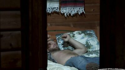 Wild Pack: The Dark Desire