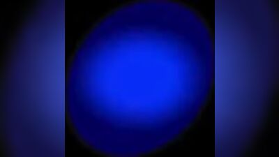 Unleashed: Arab Bad Boy Takes French Twink for a Ride