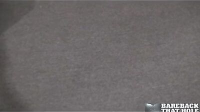 Teddy Bears Anal Adventure: Hairy and Hungry for Ass!