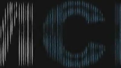 Forest Fellatio & Facial Cum Swallowing: Sucking Strangers Balls in the Woods!