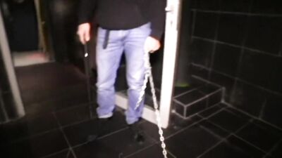 Batard avec une petite queue molle