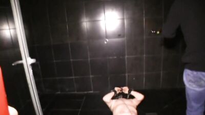 Batard avec une petite queue molle