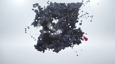 Young and Curious - Joel Tamir, Rob Bissets First Time