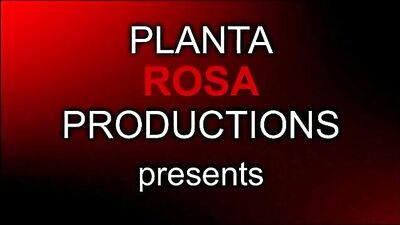 Raw Anal Domination: The Alpha Male Beast Tames the Submissive Slave