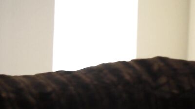 Raw, Gritty Anal and Blowjobs: Adrian Hart & Arad Winwin