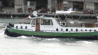 Sneakers Addiction: French Basket Shoes Obsession with Fresh Foot Odor