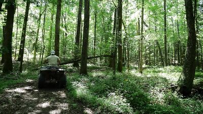 Forest Fuck Fest: Hairy Muscle Bears Make it Rain!