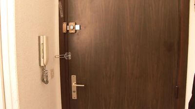 Deliverymans Hidd*en Pleasure: A French Minx and a Hot Anal Delight