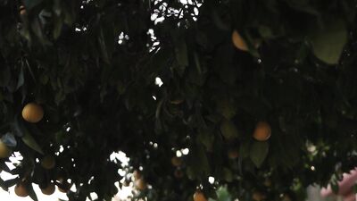 Next Door Daddy: Making the Neighborhoods Hottest Cutie Cum