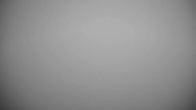 Stiffy Strikes Again: Gay Porn at the Cinema