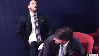 Stiffy Strikes Again: Gay Porn at the Cinema