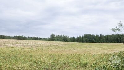 Massive Muscles and Curves: Handsome Man Pleasures Himself in a Field