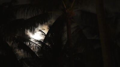 First Summer Loves - Trevor Harris and Devin Holts Steamy Beachside Encounter