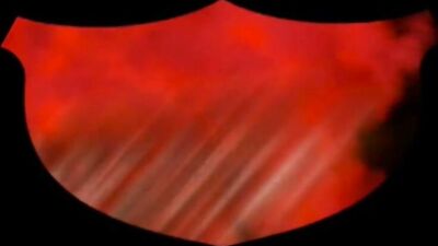 Wilderness Exploration Turns into Wild Gay Sex! OR Forest Frolic Leads to Rough Anal Sex!