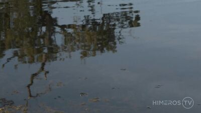 Gay Porn - Reconciliation Sex with Kayden Gray and Oliver Hunt