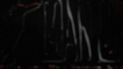 Revealing Desires: The Lingerie Sessions