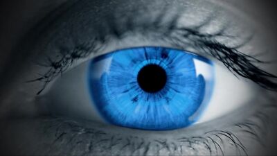 CSI Sperma Spotter - The Case of the Sperm-Stained Colocation