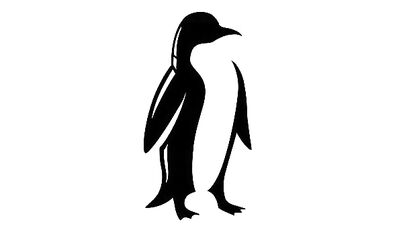 Tied Up and Sucking: A Gay Porn Experience with Friends