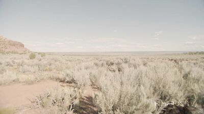 Militaires en chaleur – Andre Donovan & Dillon Diaz