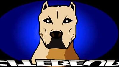 Gay Porn Video: The Hunky Frenchman and the Muscular Rebel