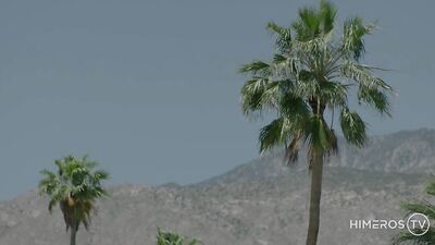 Gender Benders: A Queer Erotic Adventure - Les beaux gosses et le transformiste