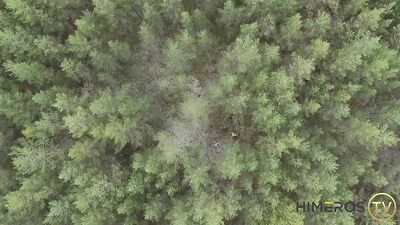 Les Sacrements – Bishop Black, Gabriel Cross & Kayden Gray