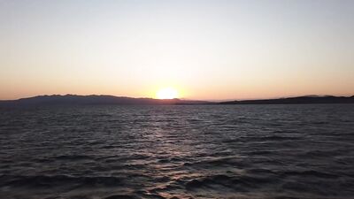 Lake Need Boys Trip: Outdoor Hookup Cruising with Hot Guys