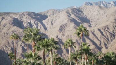 Gay Porn Splashdown: Rastafarian Black Power